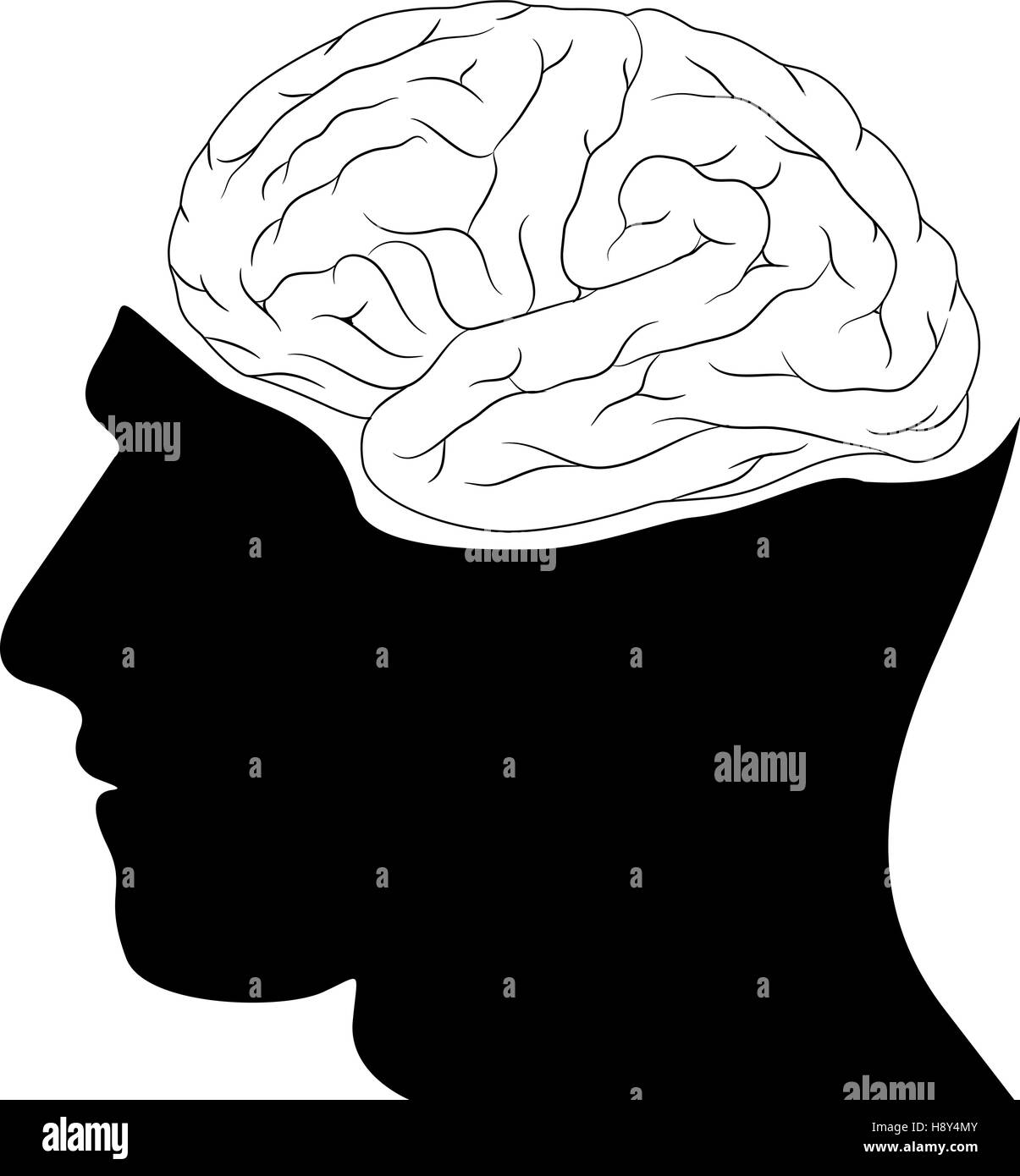 Tête et cerveau Illustration de Vecteur