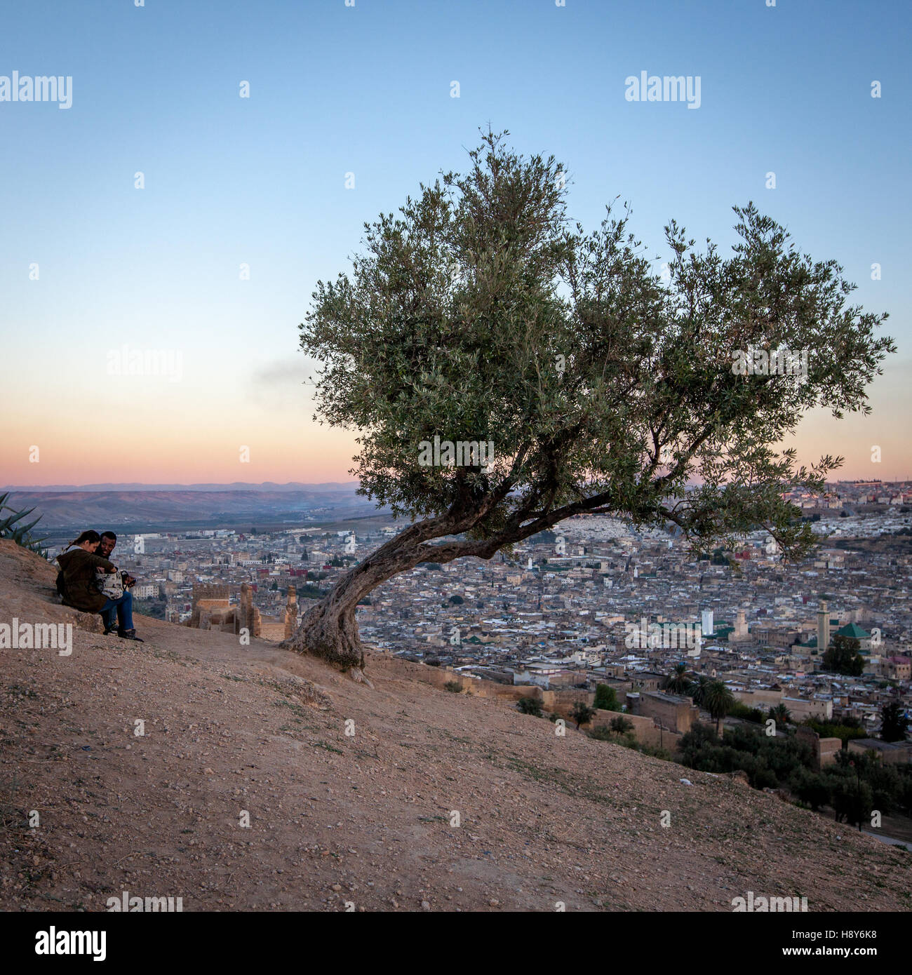 Vue panoramique sur Fès depuis les tombes du Marinid. Une colline dans le nord de la ville de Fès, sur laquelle les tombeaux de Merinid sont situés comme sites historiques offre la meilleure vue d'ensemble Banque D'Images