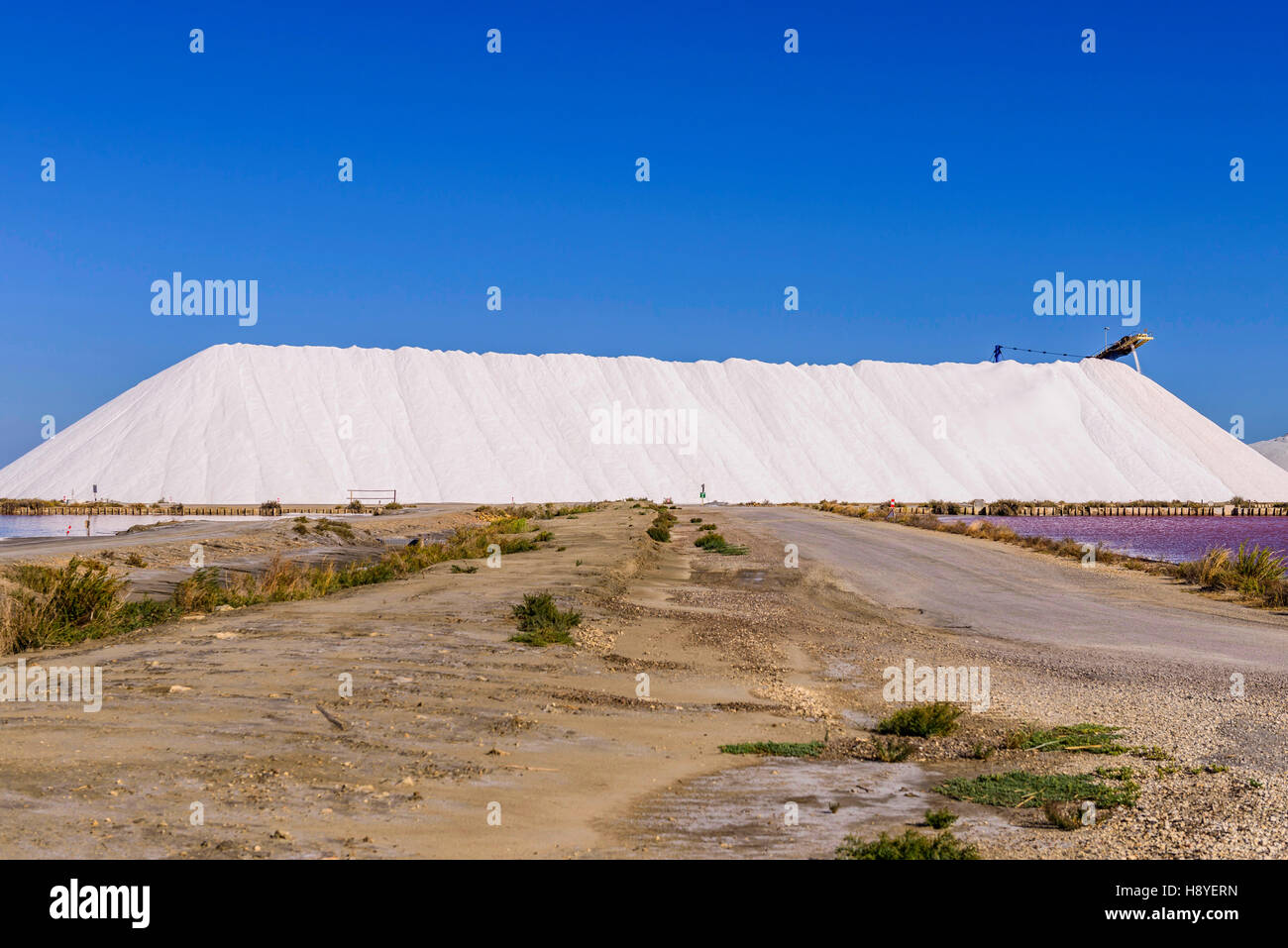 Gerbeuse et réserve de sel les Salins du Midi, Aigues-Mortes, Camargue - FRANCE 30 Banque D'Images