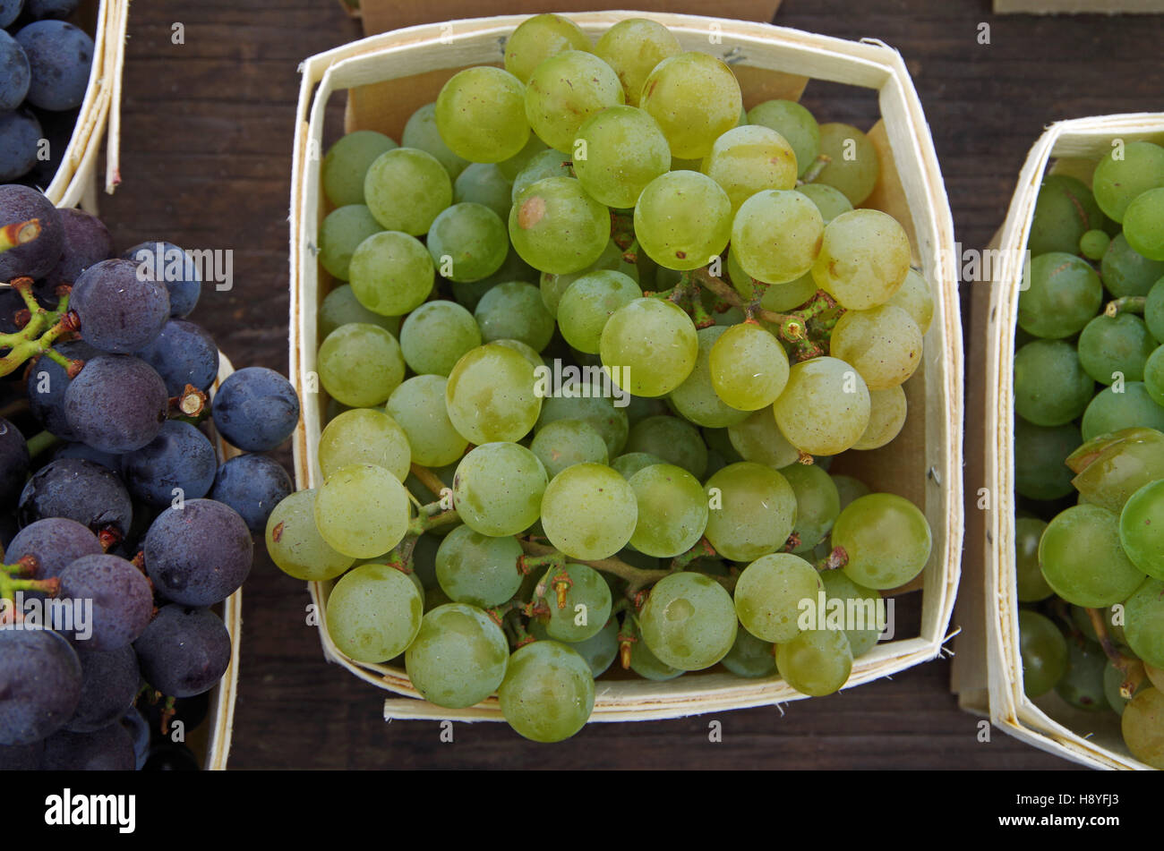Les raisins pour le vin blanc dans des paniers de marché Banque D'Images