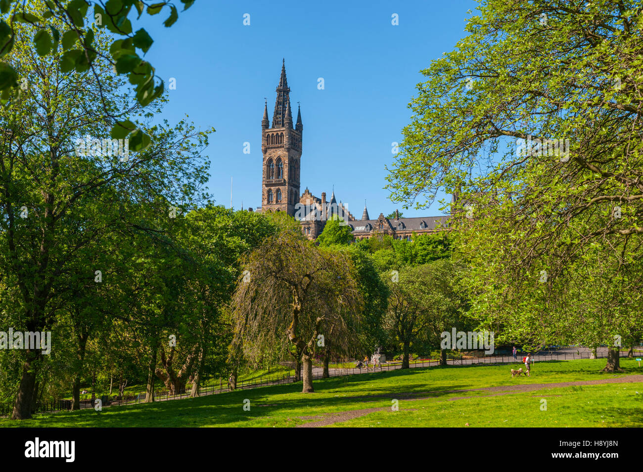 La flèche de l'université de Glasgow conçu par Gilbert Scott. de parc Kelvingrove Banque D'Images
