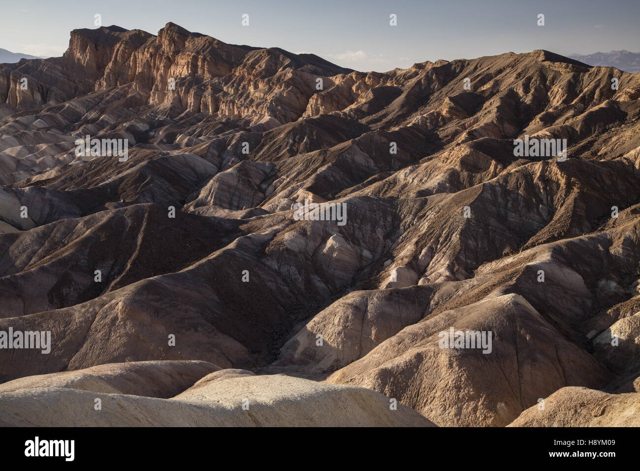 Cendres volcaniques et l'érosion des collines de Limon, badlands, à Zabriskie Point, Death Valley National Park, en Californie. Superbe exemple de sécher Banque D'Images