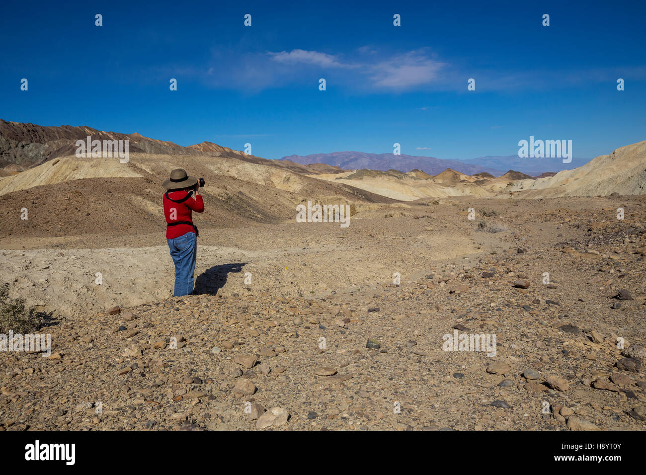 Femme photographe, vingt Équipe Mule Canyon Road, vingt Mule Team Canyon, Death Valley National Park, Death Valley, Californie Banque D'Images