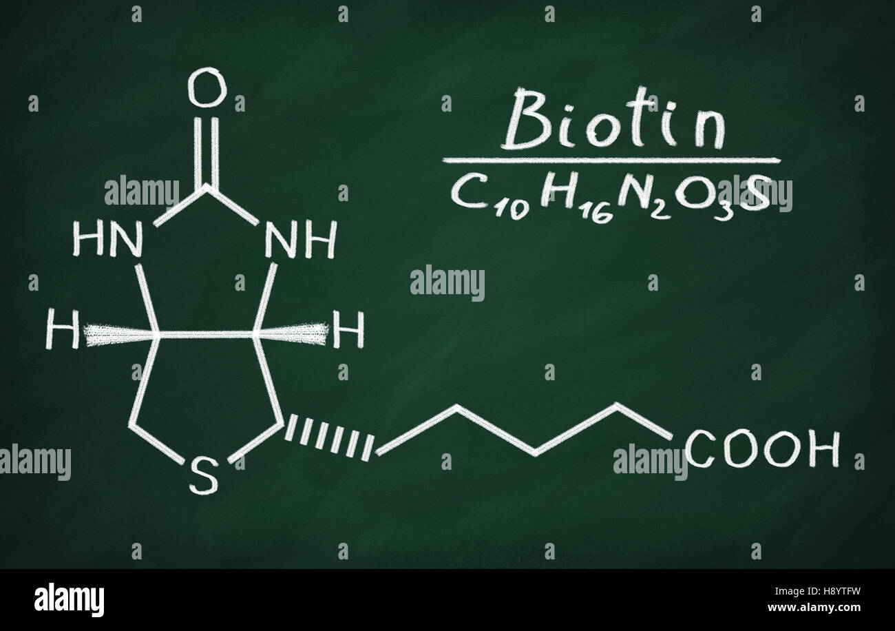 Modèle structural de la vitamine B6 (biotine) sur le tableau noir. Banque D'Images