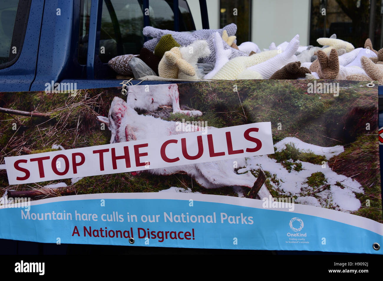 Edinburgh, Ecosse, Royaume-Uni, 17, novembre 2016. Un camion chargé d'étoffes lièvres variables à une manifestation organisée par l'organisme de protection des animaux contre l'abattage de OneKind lièvres de montagne dans les parcs nationaux, le Crédit : Ken Jack / Alamy Live News Banque D'Images