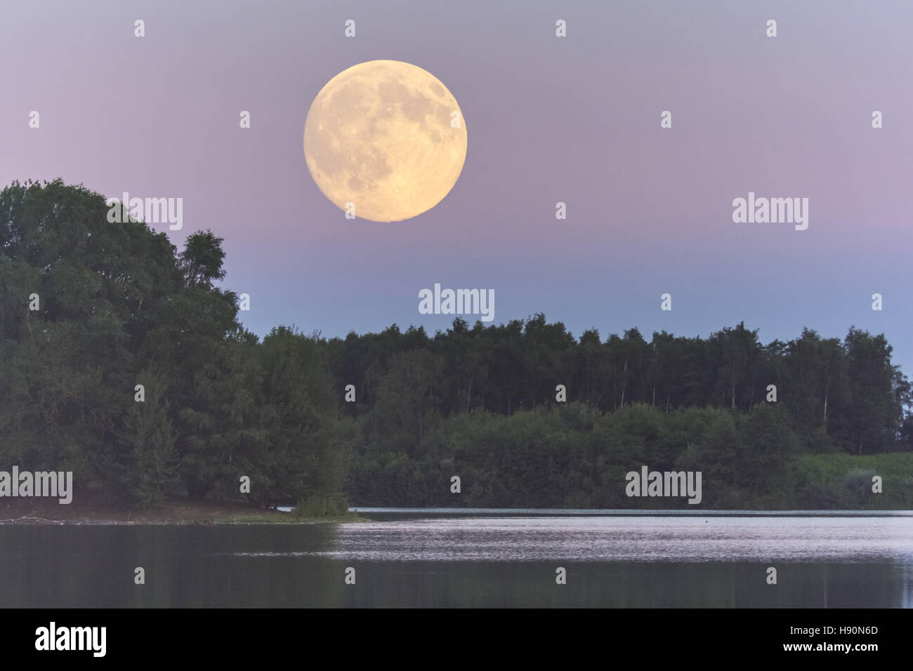 Pleine lune sur l'dammer bergsee près de Damme (dümmer), district de Vechta, Basse-Saxe, Allemagne Banque D'Images