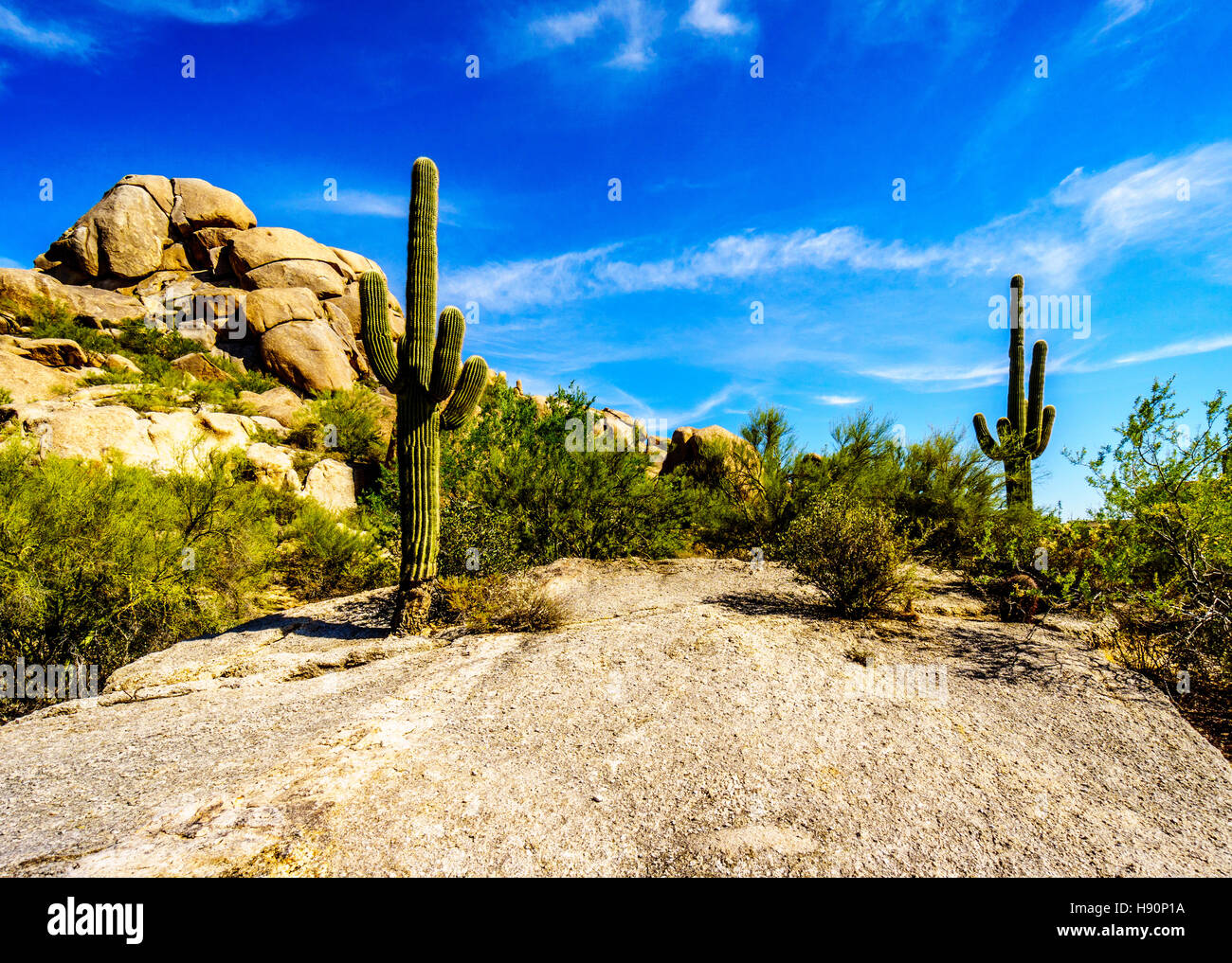 Paysage désertique avec cactus Saguaro et grand rocher au rochers dans le désert près de Carefree Arizona, États-Unis d'Amérique Banque D'Images