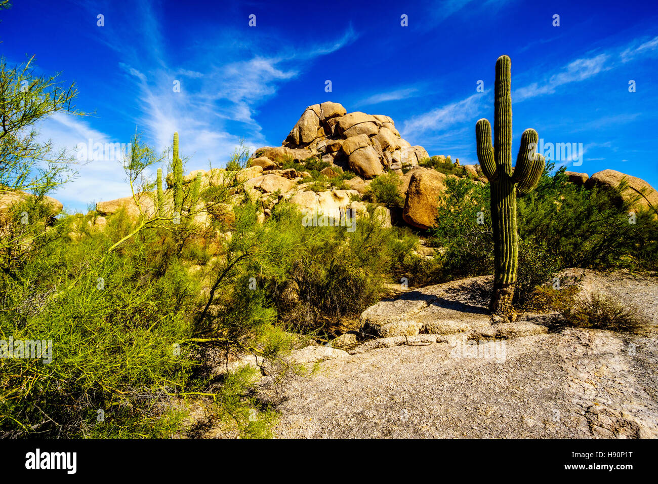 Paysage désertique avec cactus Saguaro et grand rocher au rochers dans le désert près de Carefree Arizona, États-Unis d'Amérique Banque D'Images