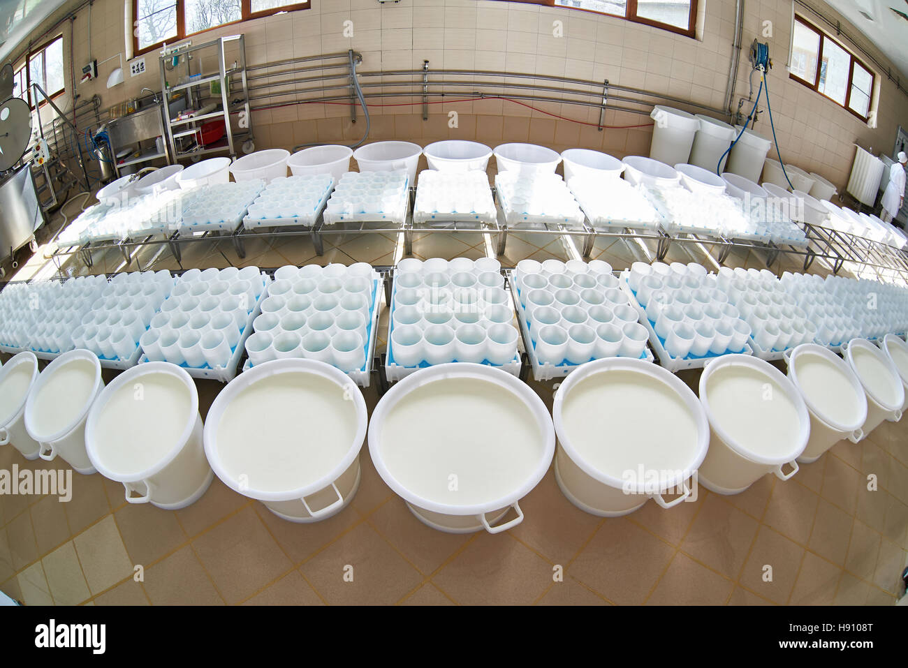 La production de fromage doux avec des capacités en plastique avec du lait Banque D'Images