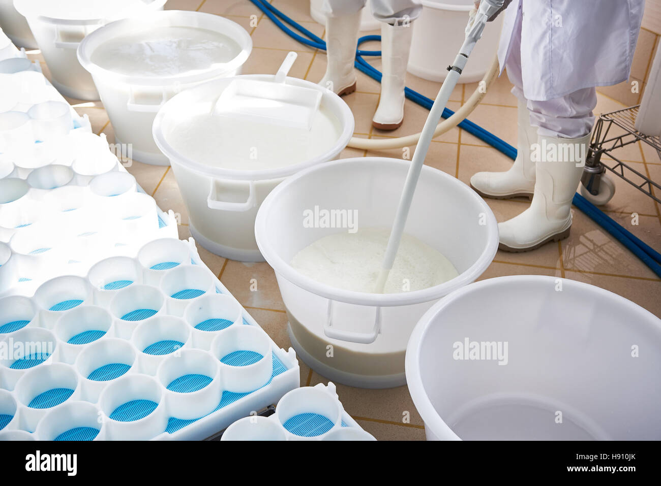 Préparation du lait avec la levure pour la production de fromage Camembert factory Banque D'Images