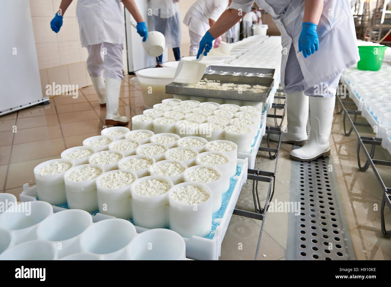 Le remplissage des moules pour la production de fromage à pâte molle Banque D'Images