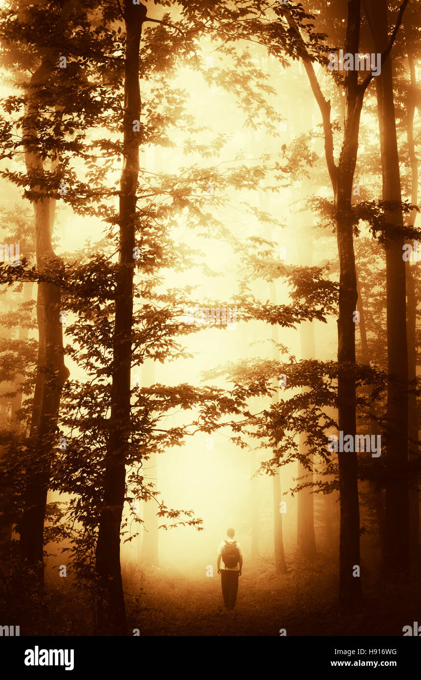 Paysage d'automne dans les bois. Paysage avec de mystérieux homme marchant sur les sentier de forêt en automne au coucher du soleil Banque D'Images