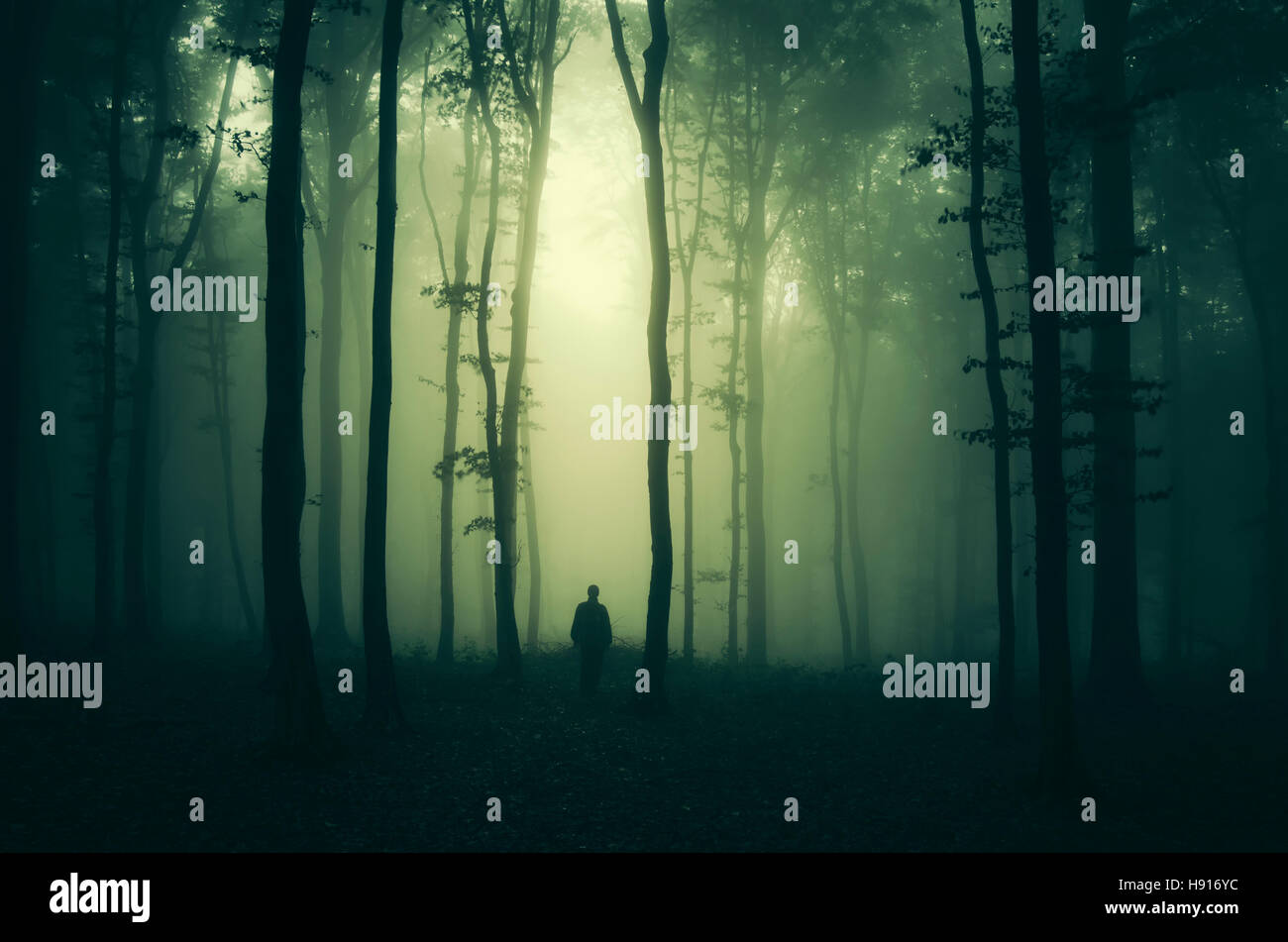 Paysage de forêt effrayante avec l'homme sur la voie sombre Banque D'Images