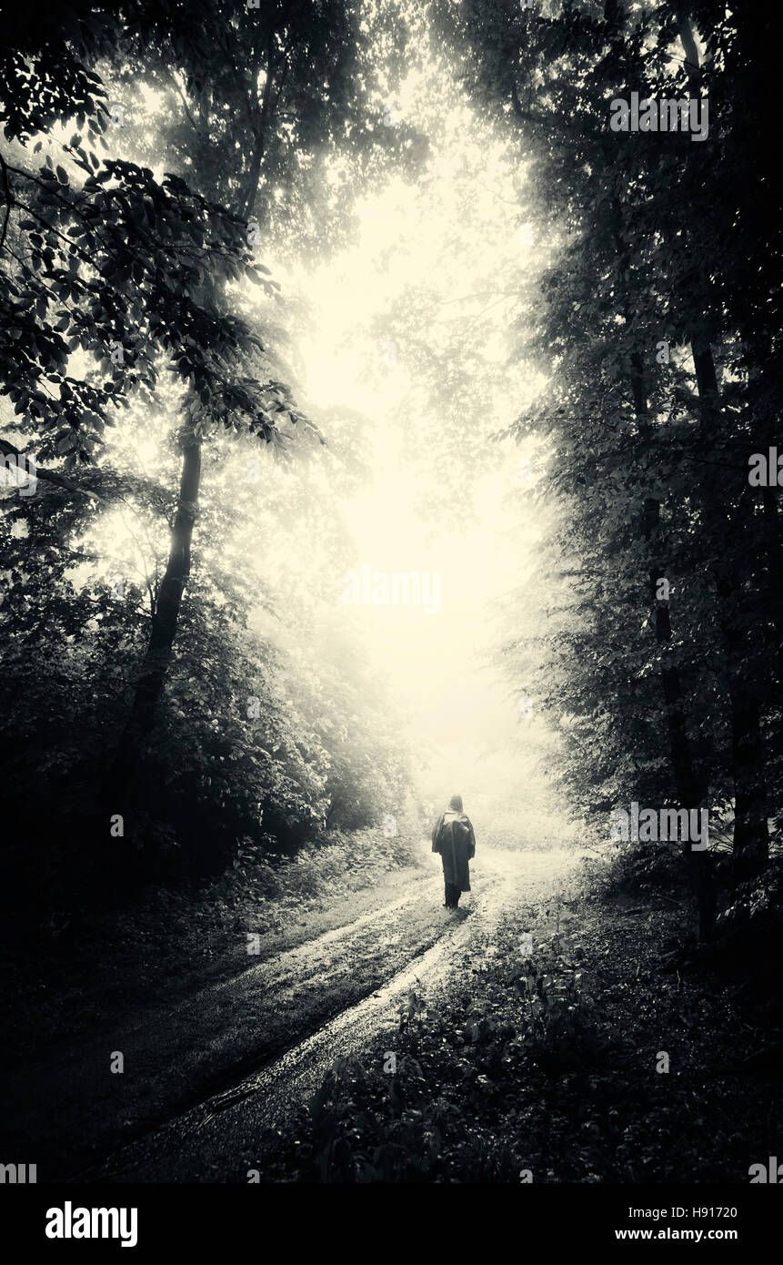Paysage de forêt effrayante avec l'homme sur la voie sombre Banque D'Images