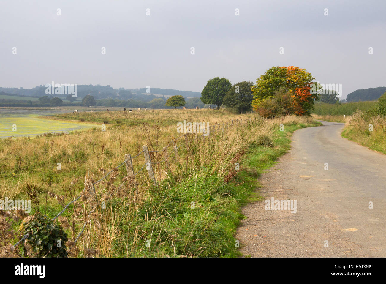 Voie à côté du réservoir d'Eyebrook, Rutland, UK. Banque D'Images