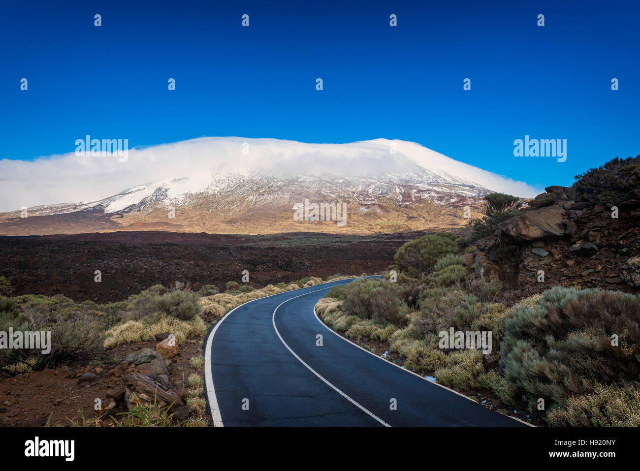 Route dans le Parc National du Teide Tenerife Banque D'Images