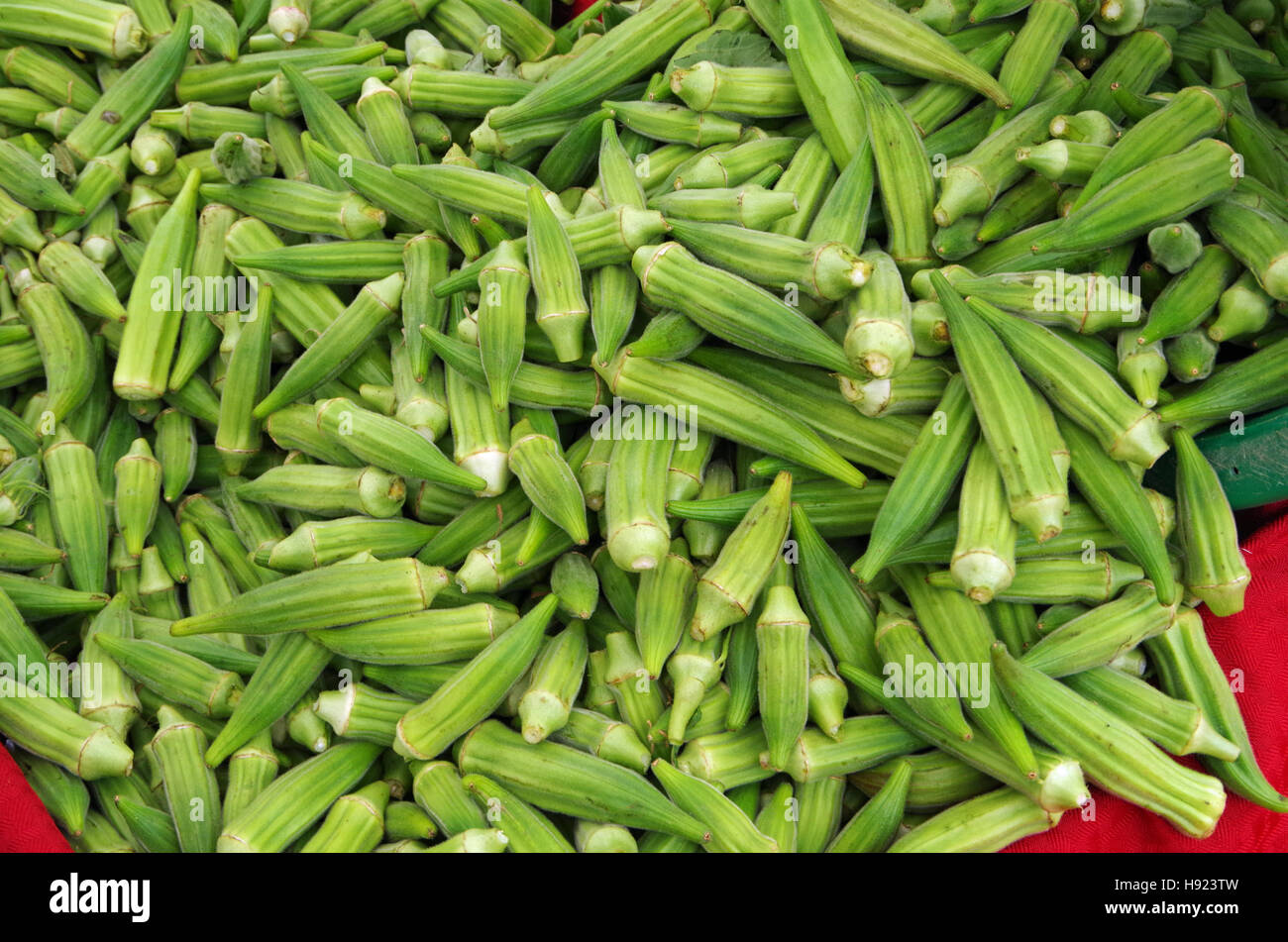 L'okra doigt vert vif de coulage sur godet tissu rouge afficher Banque D'Images