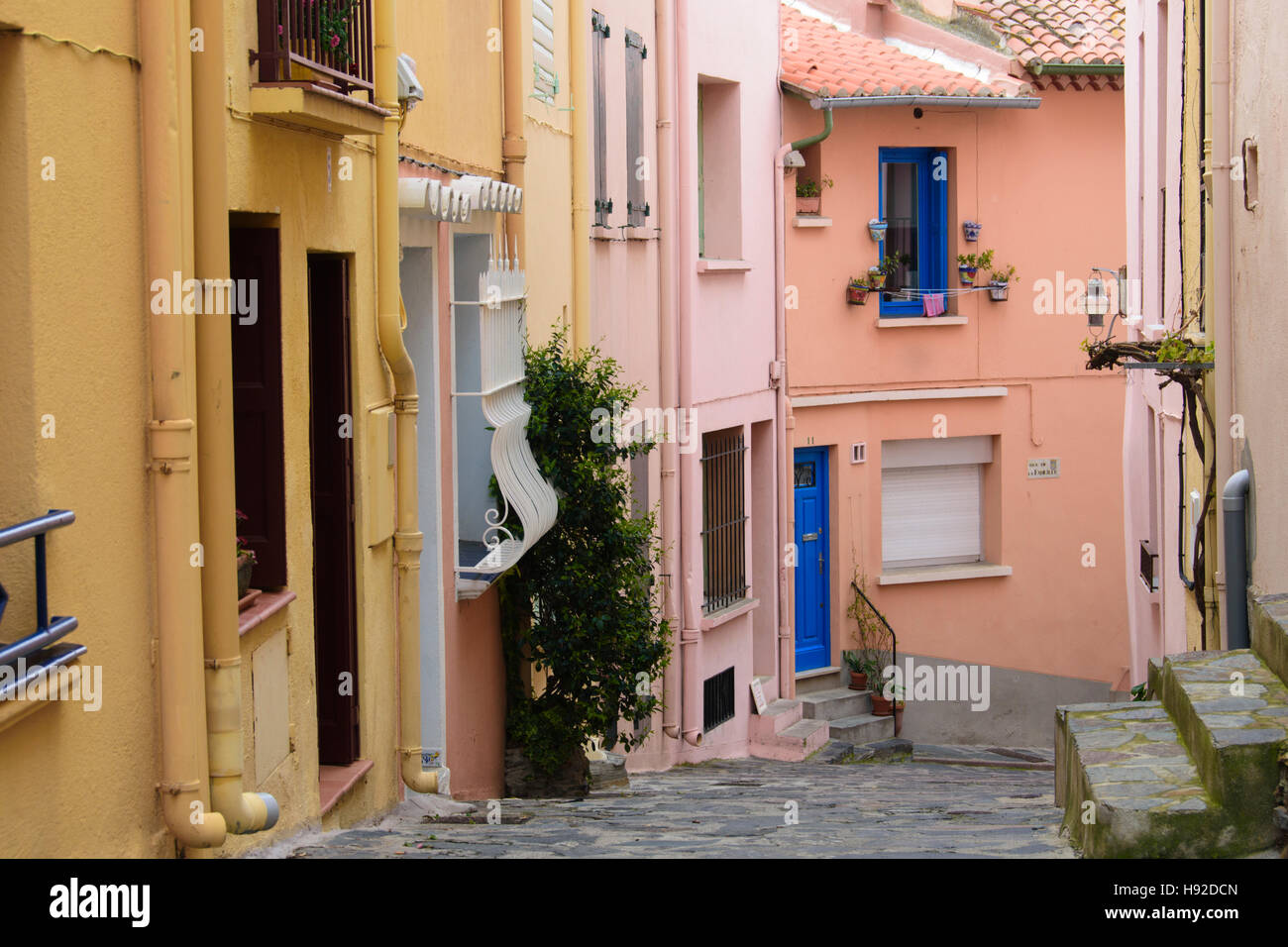 Maisons colorées dans les rues étroites de Collioure. France Banque D'Images