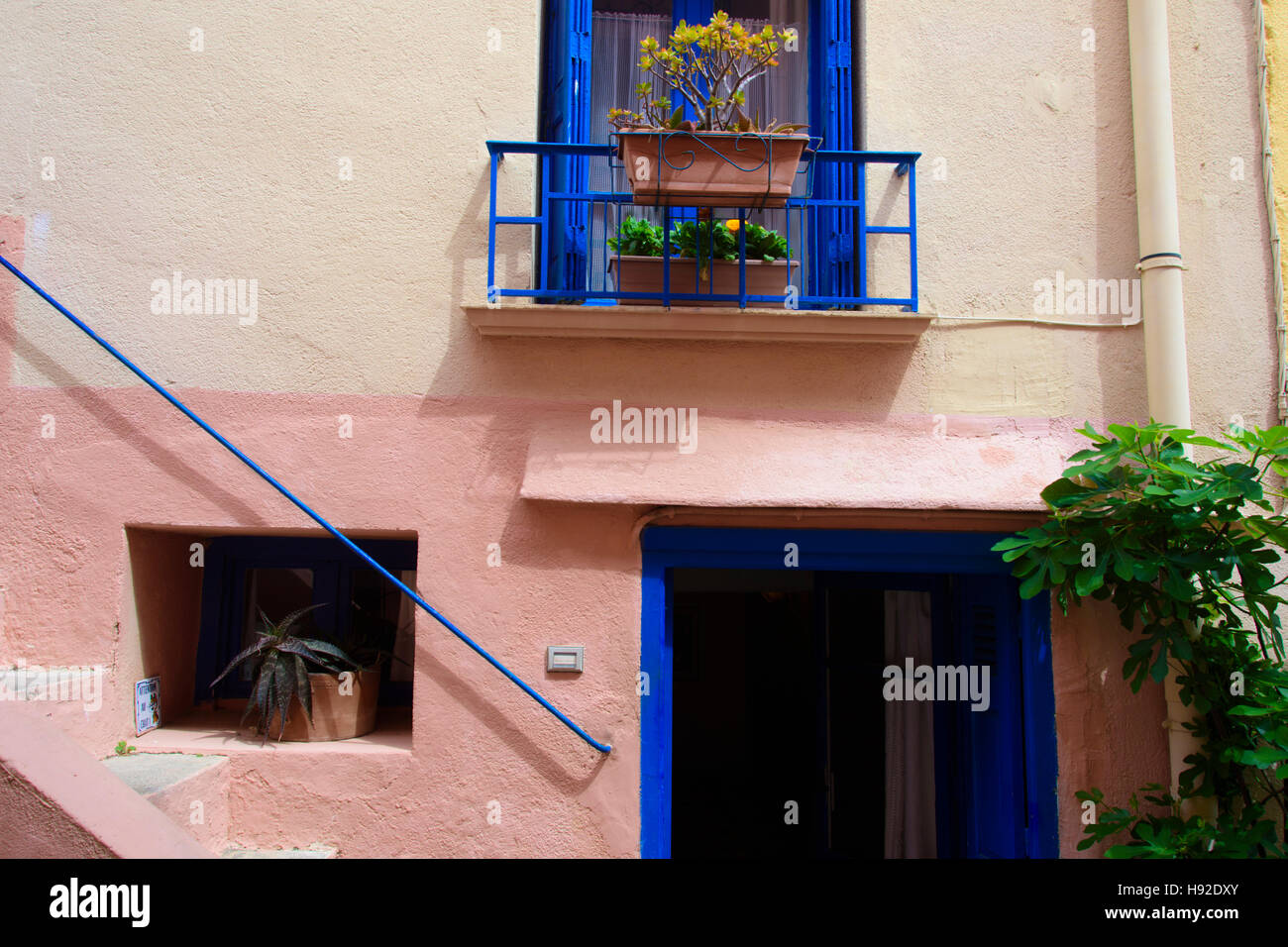 Maisons colorées dans les rues étroites de Collioure. France Banque D'Images