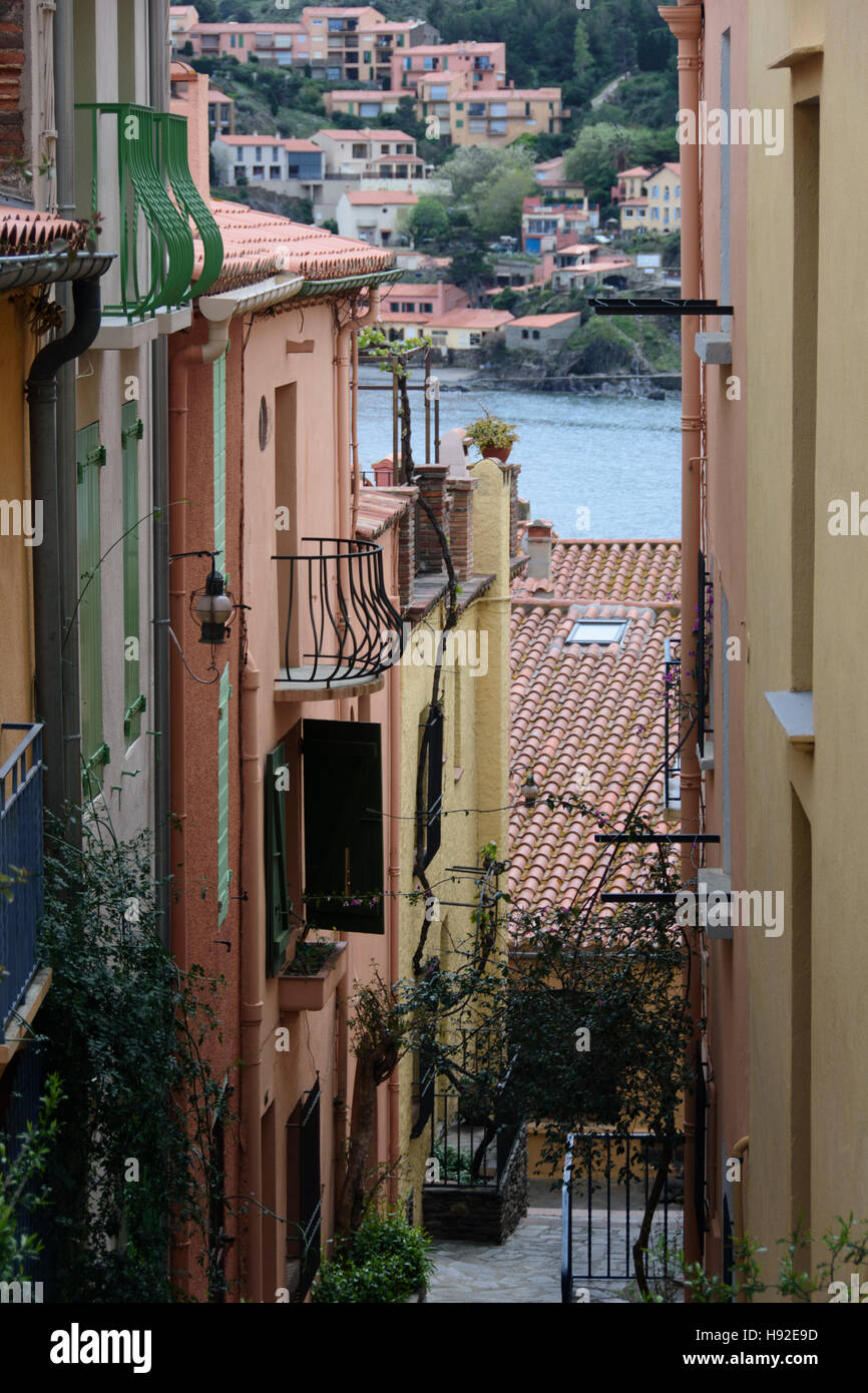 Maisons colorées dans les rues étroites de Collioure. France Banque D'Images