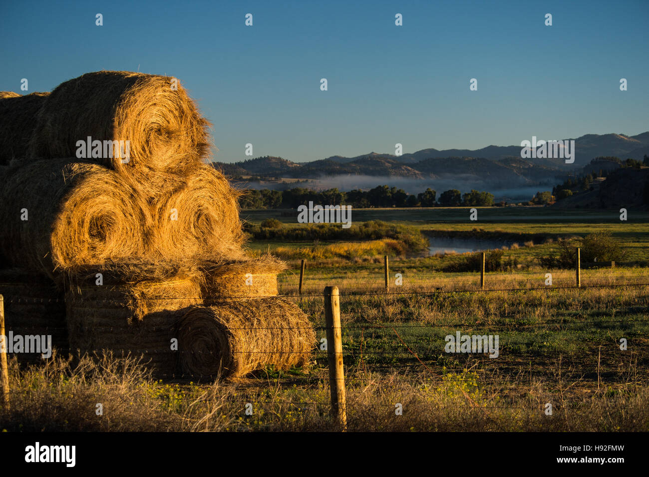 Une scène de ferme foin Central Montana Banque D'Images