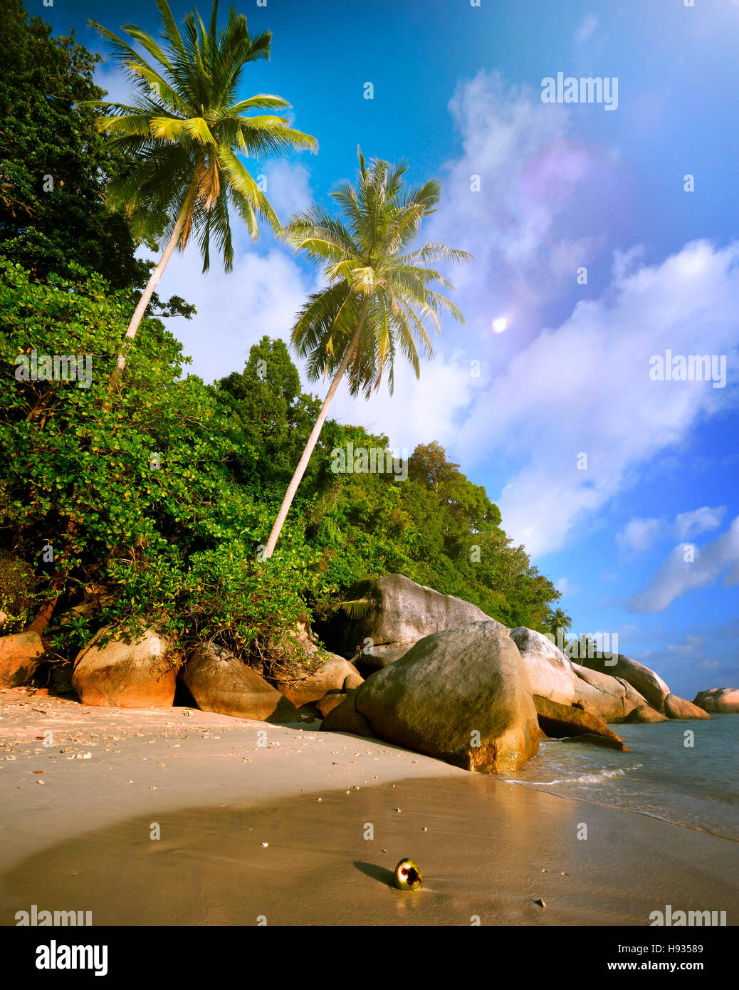 L'Île Plage de Malaisie Vacances Été arbre tropical Concept Banque D'Images