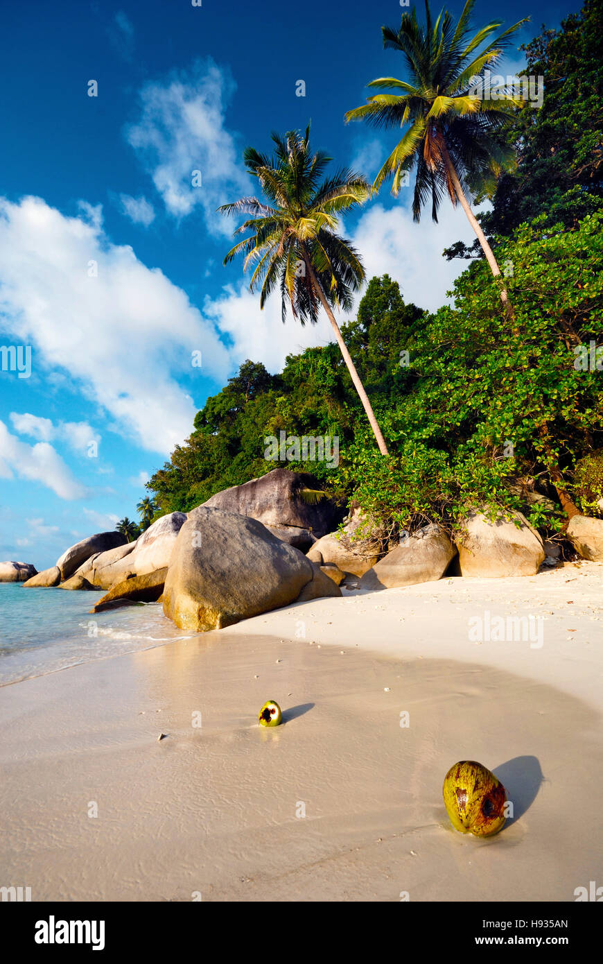 Plage de palmiers de noix de coco de Malaisie Voyage Vacances Concept Banque D'Images