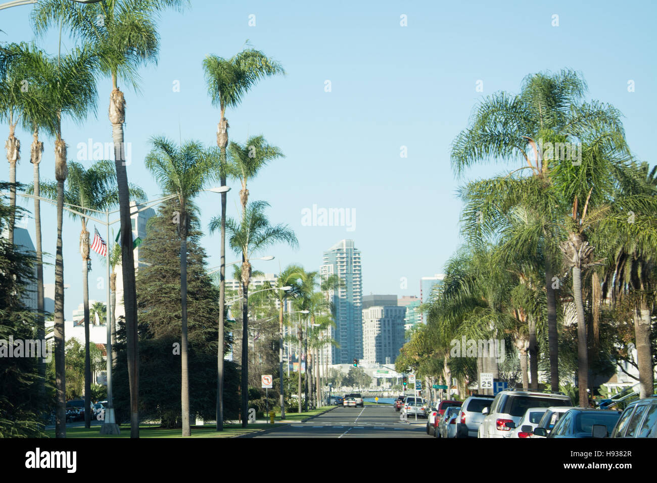Rue bordée de palmiers avec vue sur le centre-ville de San Diego Banque D'Images