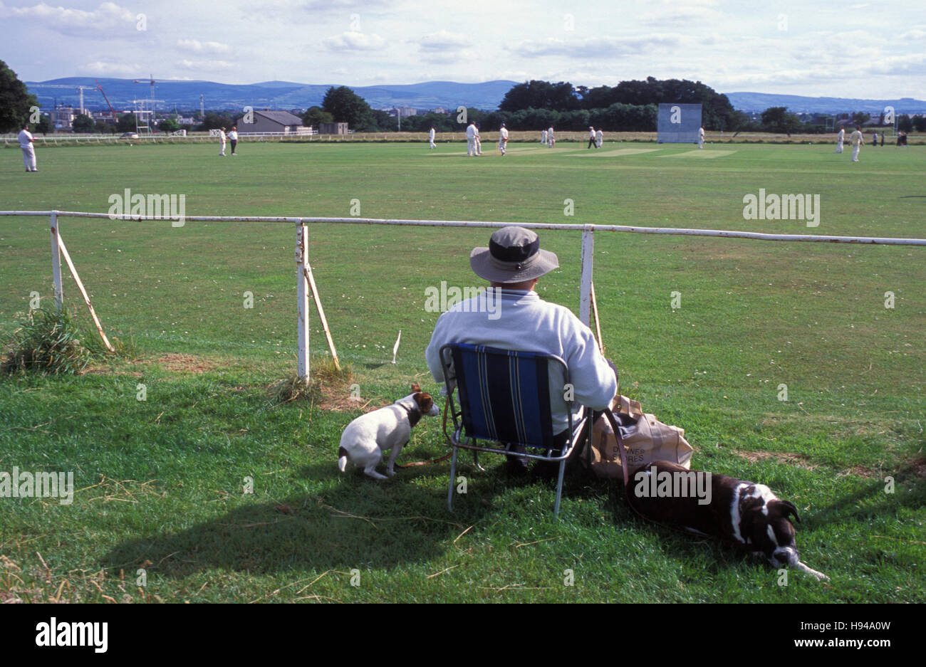 L'homme avec les chiens regarder le cricket, sport, club de Cricket de Phoenix, Phoenix Park, Dublin, Irlande Banque D'Images