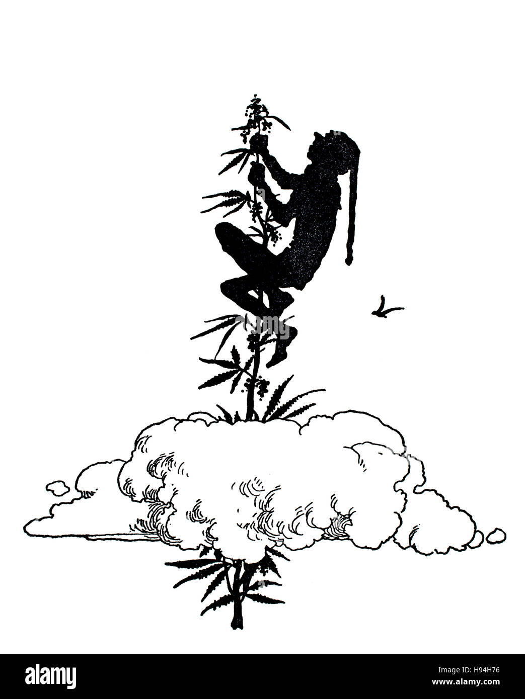 J'ai réussi capitally, Children's Book Illustration par William Heath Robinson, à partir de 1934 Livre de gobelins, le roi ne croit pas tout ce Banque D'Images