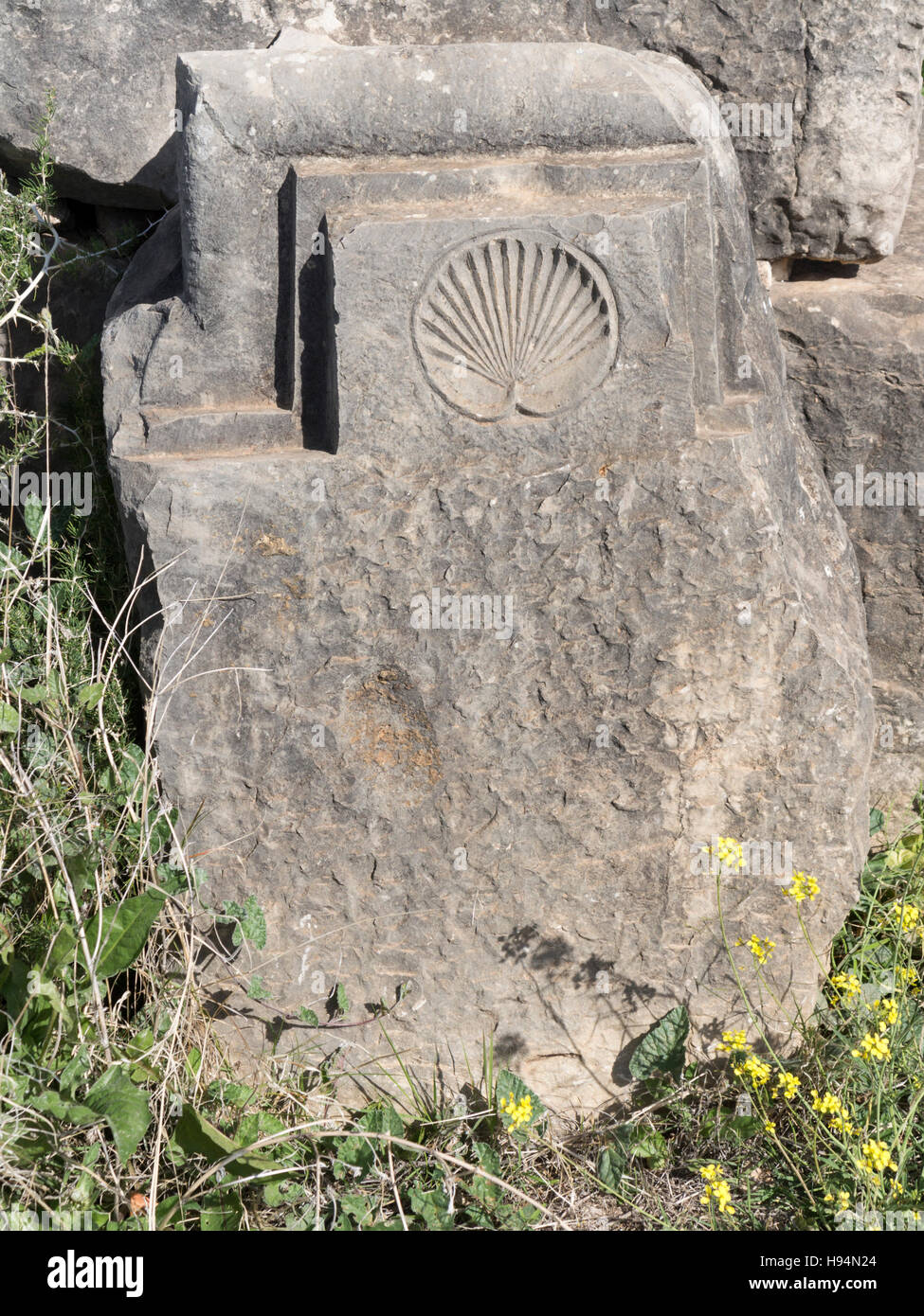 Détails de blocs sculptés dans la ville antique de Volubilis dans le massif du Zerhoun Domaine du Maroc Banque D'Images