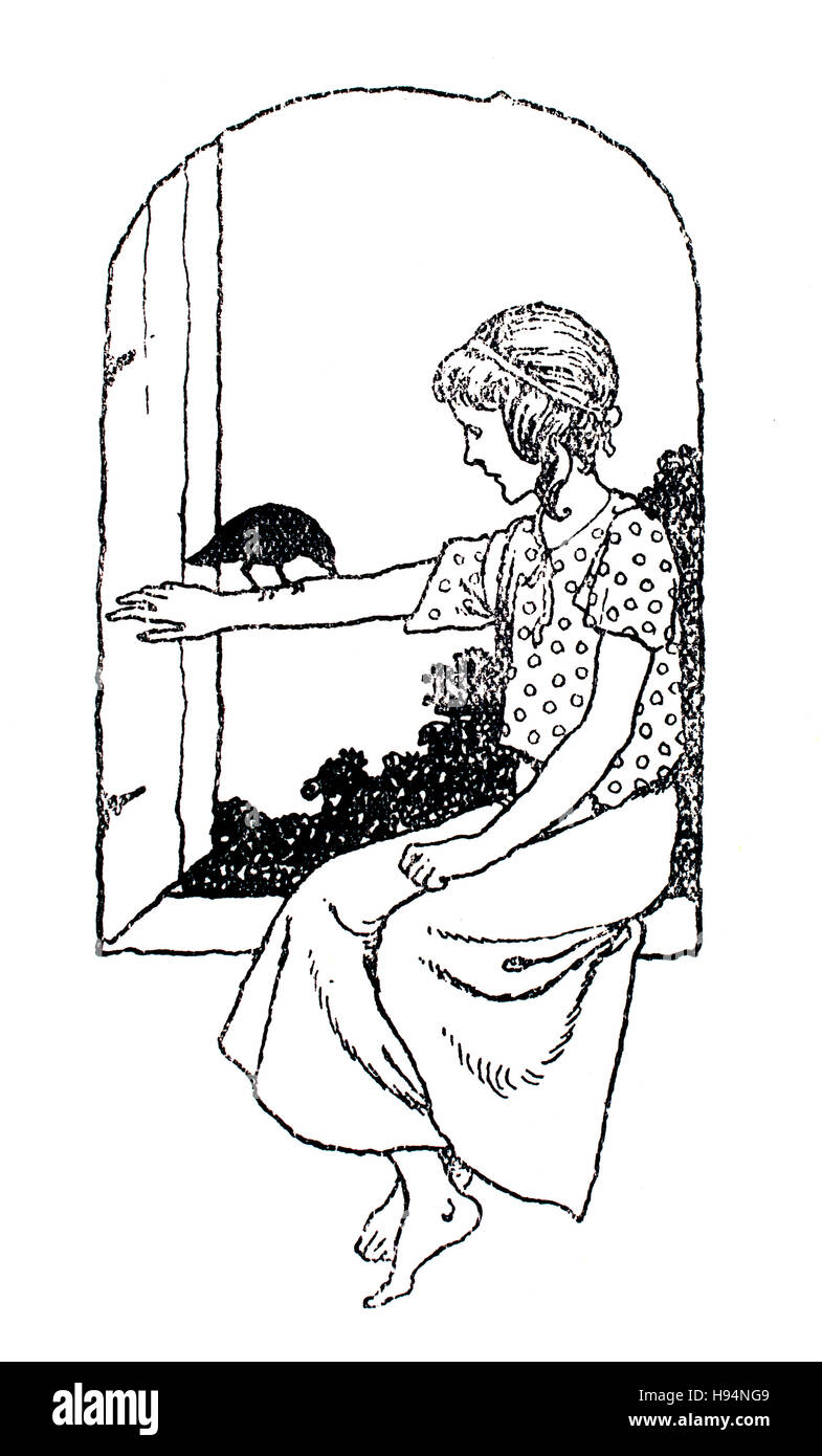 Enfant à la fenêtre avec des oiseaux apprivoisés, Children's Book Illustration par William Heath Robinson, à partir de 1934, le livre de gobelins Blackbird Banque D'Images