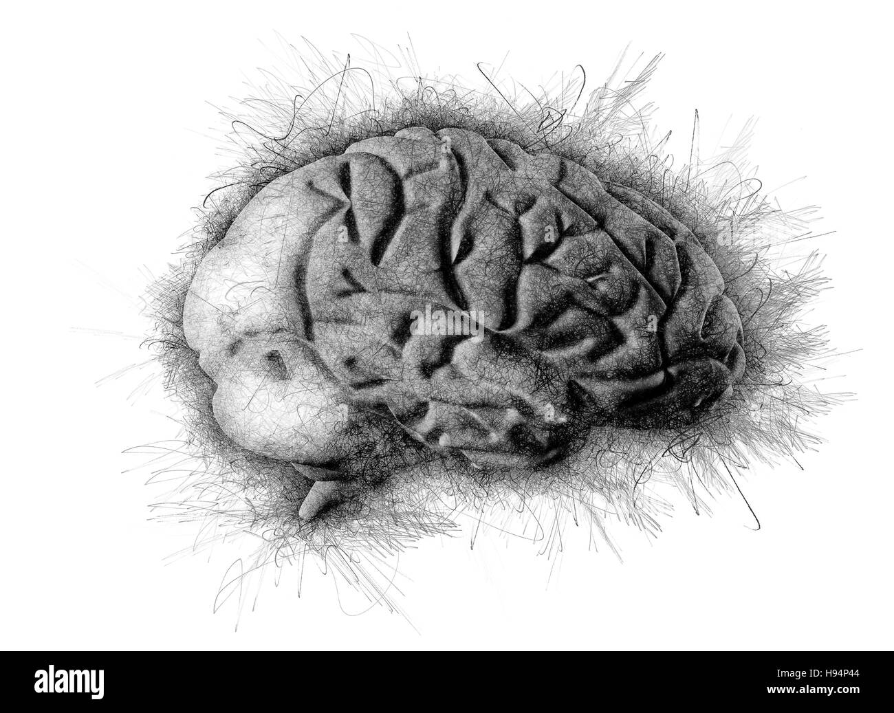 Dessin au crayon dessin artistique du cerveau Banque D'Images