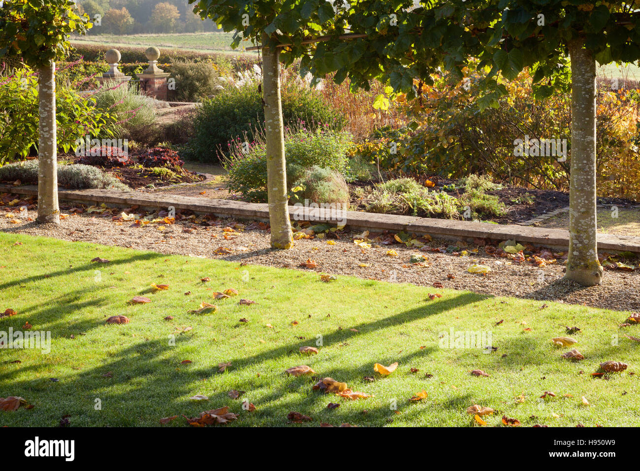 Jardins de Brightwater, Saxby, Lincolnshire, Royaume-Uni. L'automne, en novembre 2016. Banque D'Images