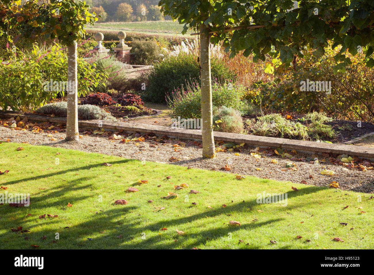 Jardins de Brightwater, Saxby, Lincolnshire, Royaume-Uni. L'automne, en novembre 2016. Banque D'Images