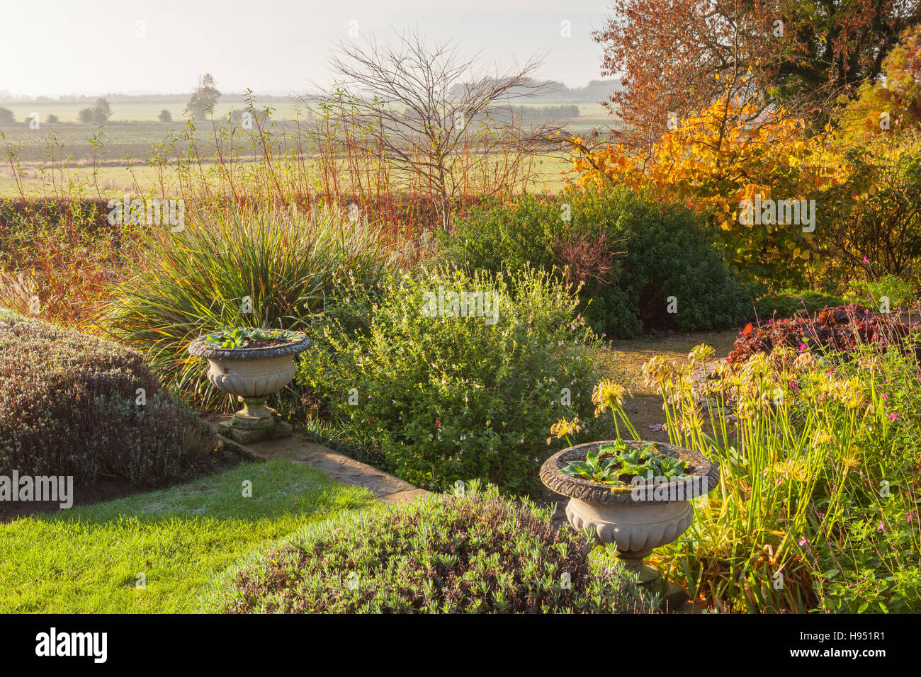 Jardins de Brightwater, Saxby, Lincolnshire, Royaume-Uni. L'automne, en novembre 2016. Banque D'Images