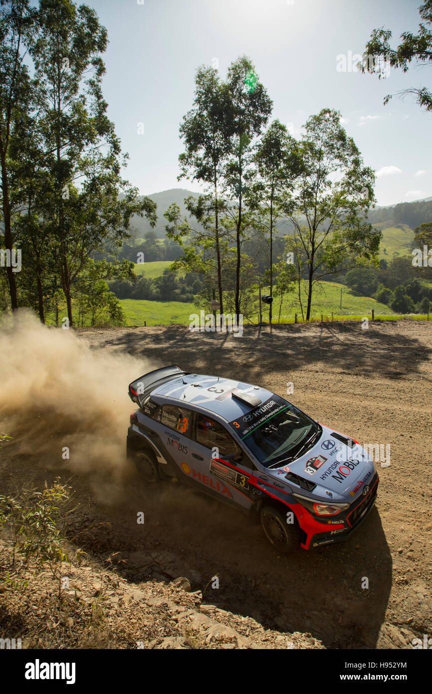 Coffs Harbour, Australie. 18 novembre, 2016. Stade 2 spécial. Bakers Creek. Thierry Neuville (pilote), Hyundai Motorsport World Rally Team. Credit : Russell Hunter/Alamy Live News Banque D'Images