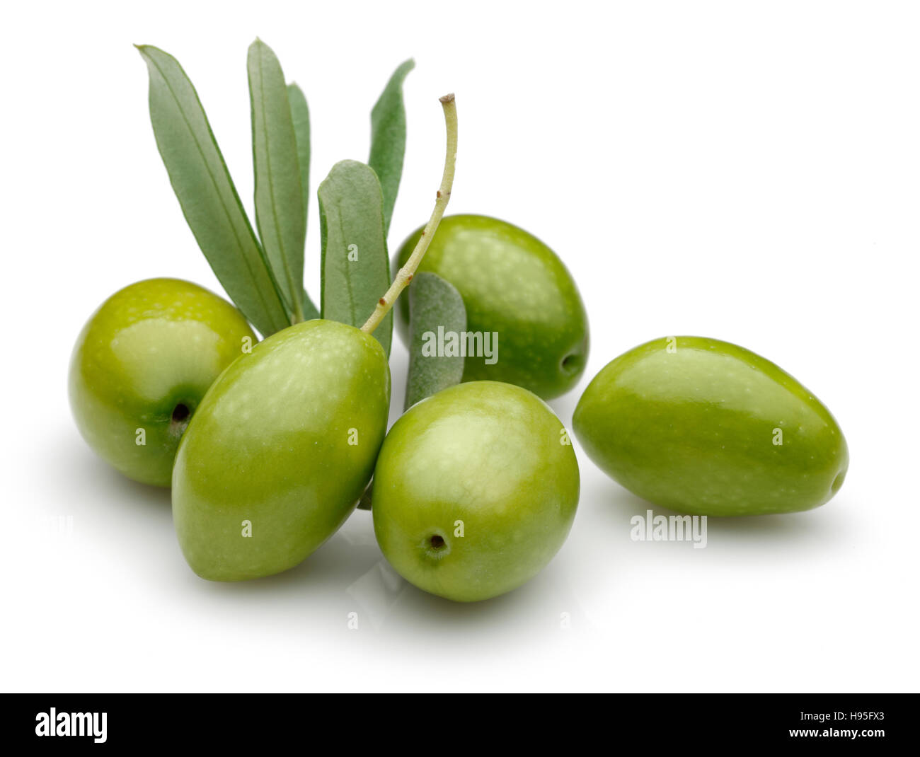 D'Olive verte avec des feuilles vertes isolé sur fond blanc. Banque D'Images