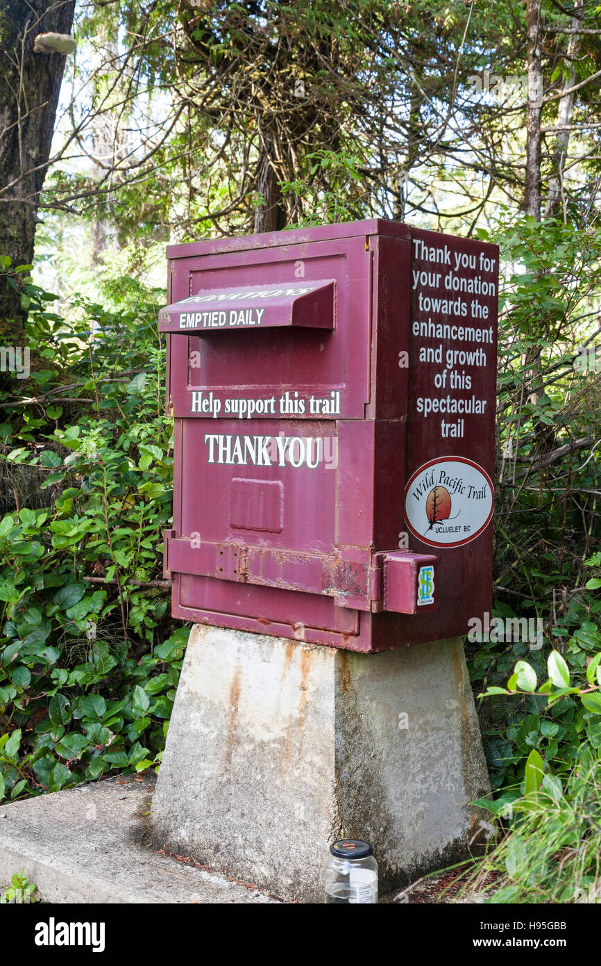 Un don fort sur le sentier Wild Pacific à Ucluelet Colombie-Britannique Canada Amérique du Nord Banque D'Images