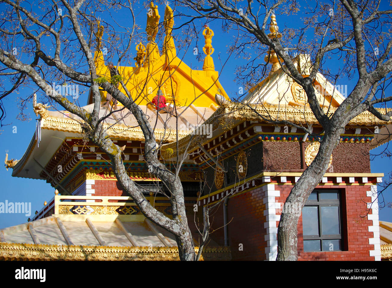 L'Thrangu Tashi Yangtse monastère bouddhiste dans Namo Bouddha. Le Népal. Banque D'Images