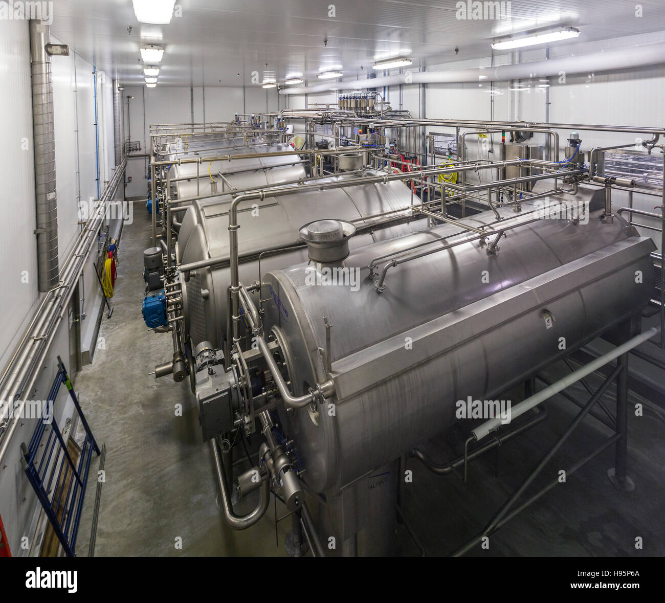 La coagulation et la cuisson du lait pasteurisé. Fromager ajoute une culture bactérienne et la présure. Fromage Saint-albert Co-Operative, St Albert, Ontario, Canada Banque D'Images