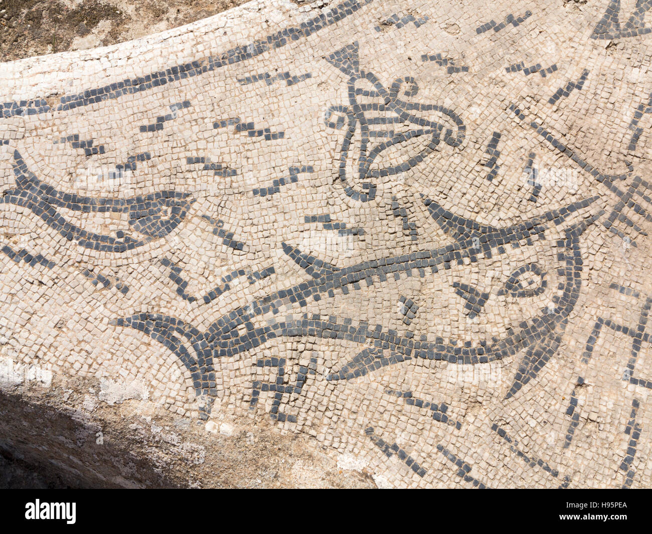 Détails de la mosaïque dans la chambre d'Orphée ville antique de Volubilis Zerhoun dans la région du Massif du Maroc Banque D'Images