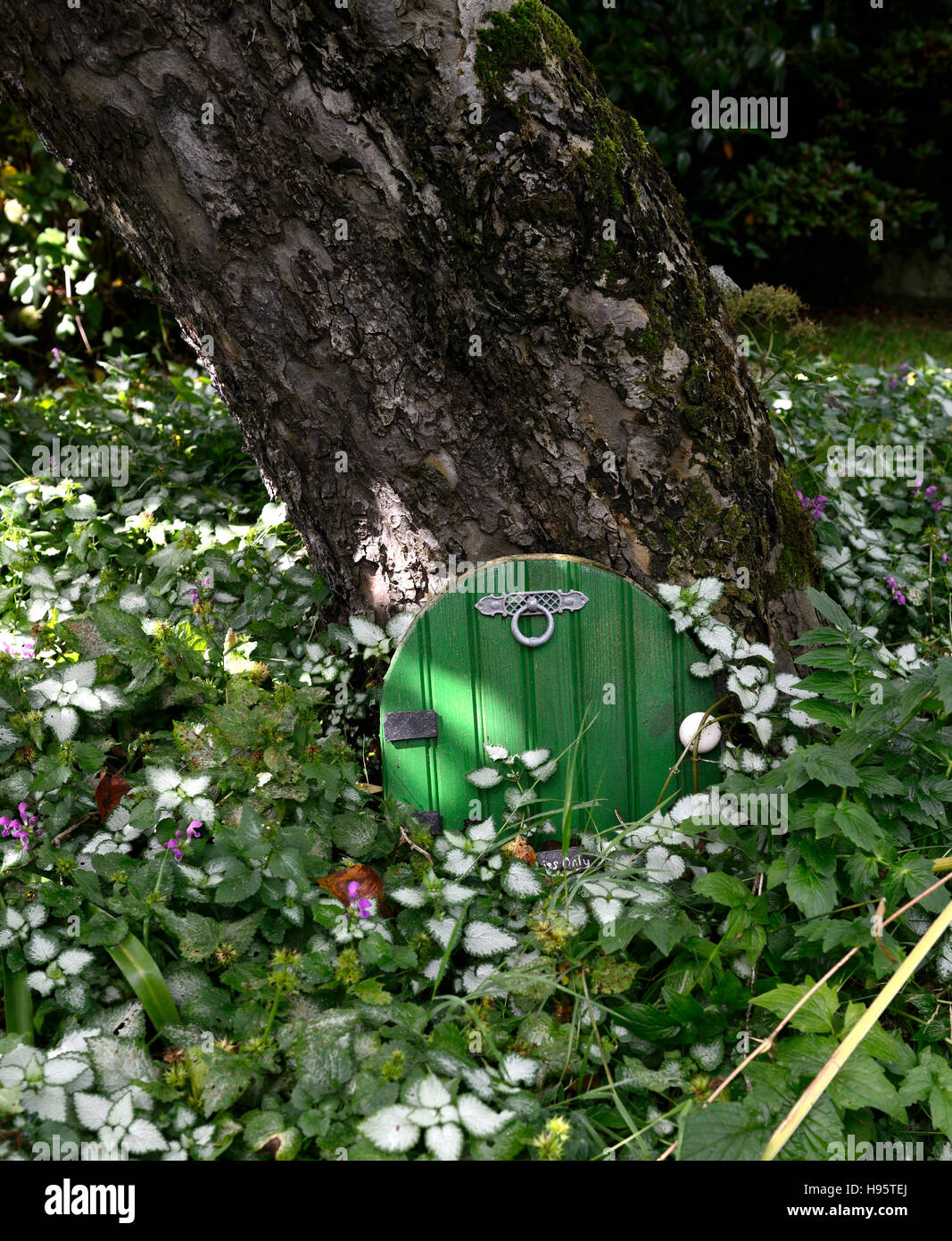 Porte chambre fée arbre décoration de jardin Décorez l'extérieur amusant nain miniature fantasy faire croire fairies accueil Floral RM Banque D'Images