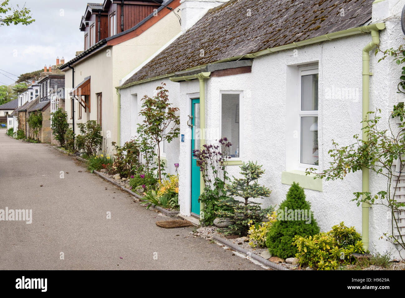 Cottages traditionnels écossais sur Carnaig Street, Littletown, Dornoch, Sutherland, Highland, Scotland, UK, Grande-Bretagne Banque D'Images