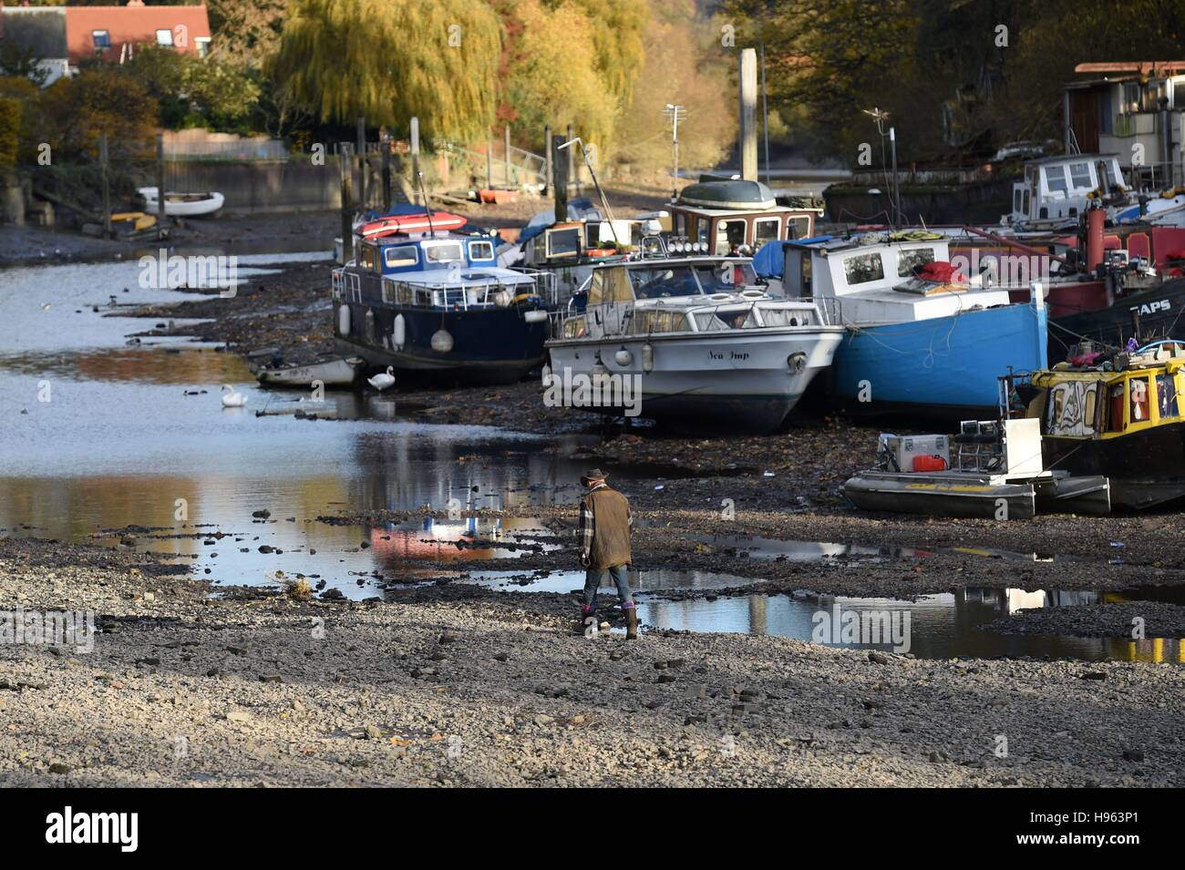 Bateaux amarrés sur la Tamise à Eel Pie Island à Twickenham, à l'ouest de Londres, à marée basse, d'après la rivière a été drainée pour le tirage annuel Période de réflexion, au cours de laquelle une inspection riverbed et travaux d'entretien essentiels seront effectués sur Richmond lock, déversoirs et des vannes. Banque D'Images