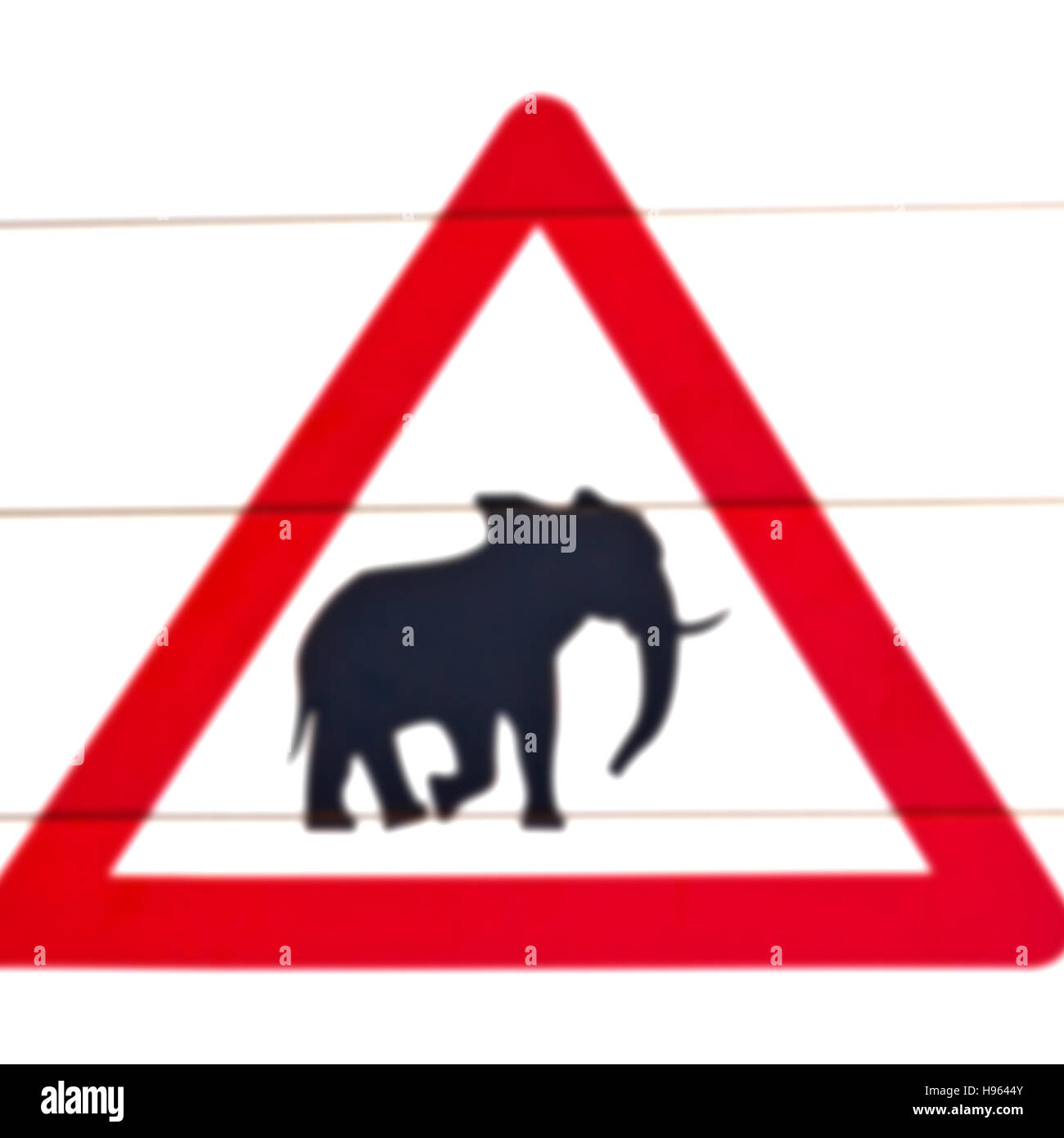 Blur en afrique du sud de près de l'elephant signer comme texture background Banque D'Images