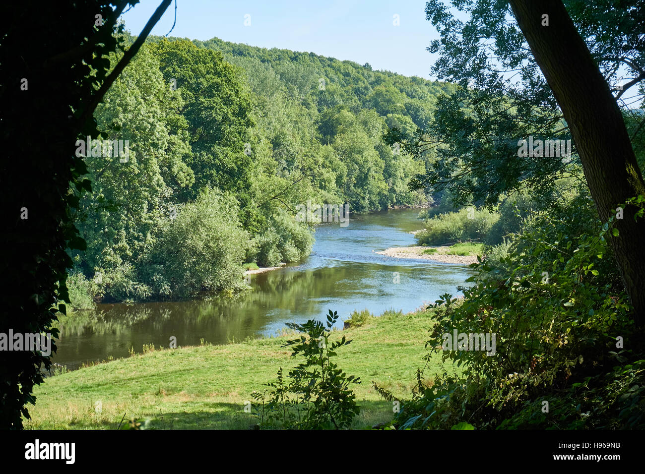 Dans la forêt, c'est tomber une rivière Banque D'Images