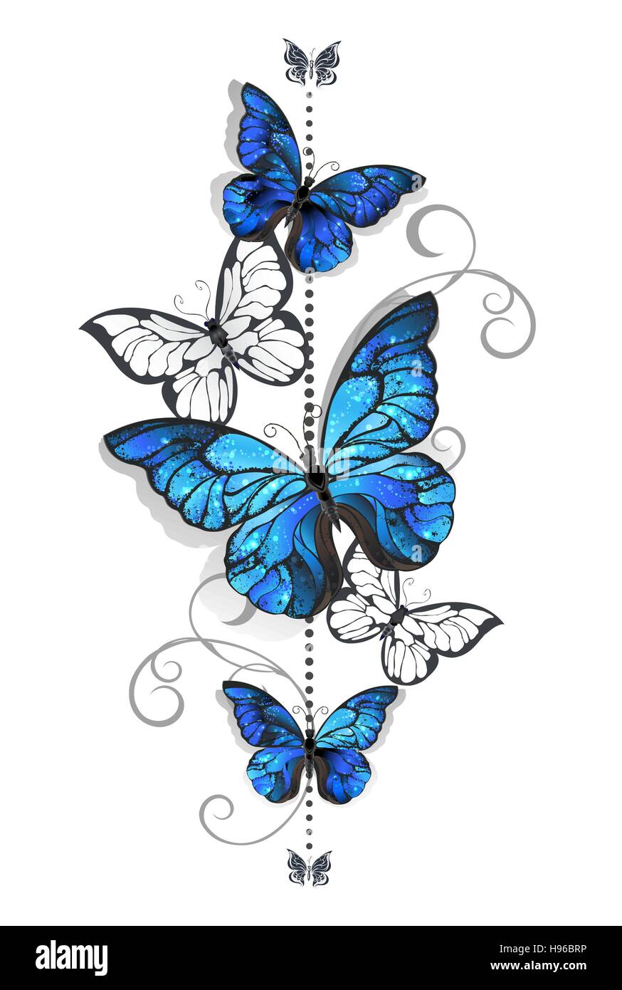 Composition des papillons morpho bleu et blanc papillons sur fond blanc. Morpho. Conception avec papillons bleu morpho. Illustration de Vecteur