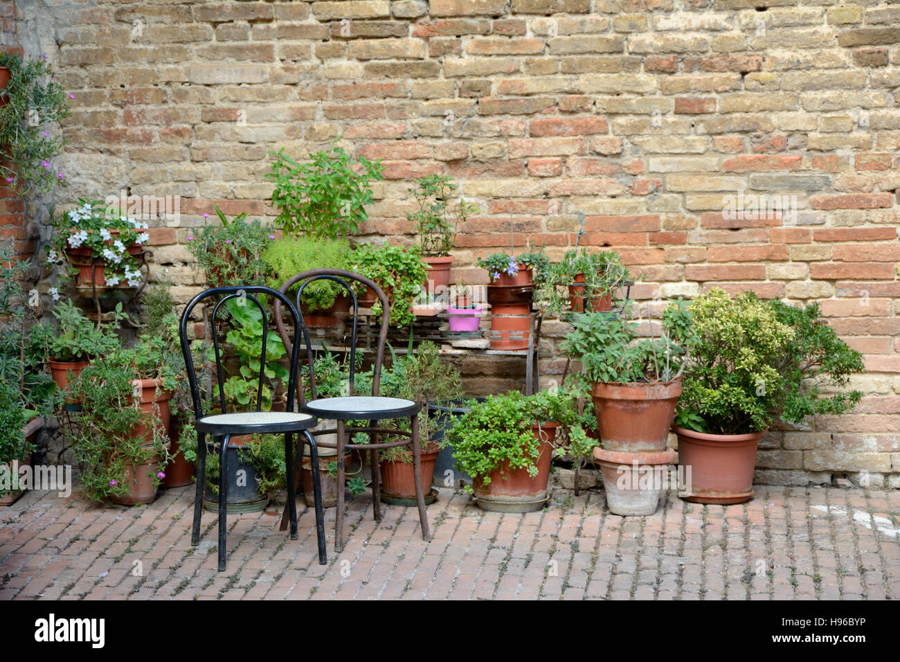 Deux chaises en bois et des pots avec des plantes à l'ancien mur permanent Banque D'Images