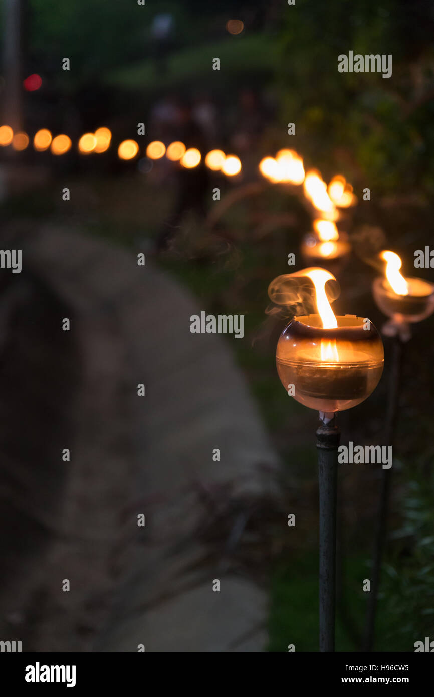 Ligne de Lumière de bougie dans le parc la nuit Banque D'Images
